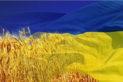 Затвердження державного прапора України